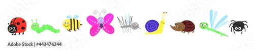 Cute insects set. Ladybug, caterpillar, bee, butterfly, mosquito, snail, rhinoceros beetle, dragonfly, spider. Collection of insects in cartoon style.
