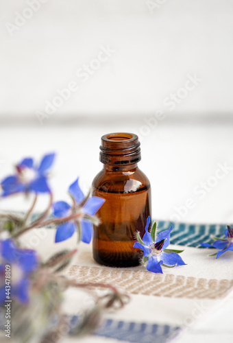 Borago officinalis (Borago or borage) oil bottle with fresh blossoms scattered around. Herbal medicine concept. Copy space.