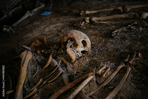 Old human skeleton in ancient tomb at archaeological excavation