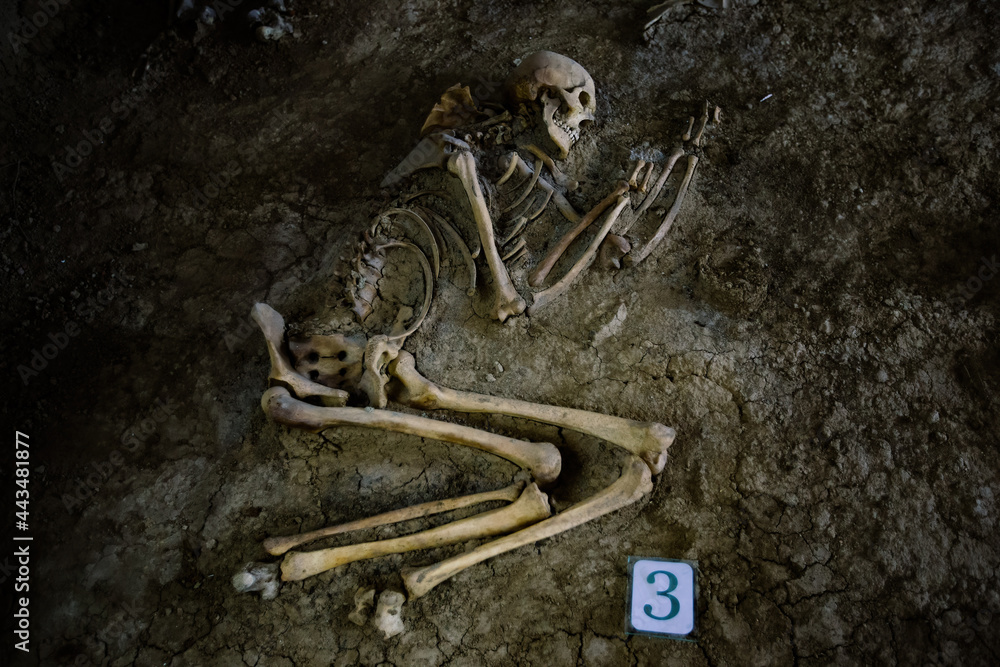Old human skeleton in ancient tomb at archaeological excavation - obrazy, fototapety, plakaty 