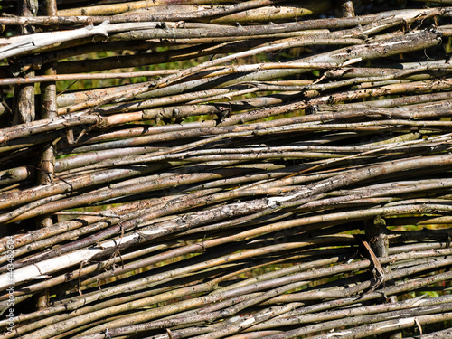 Brushwood fence