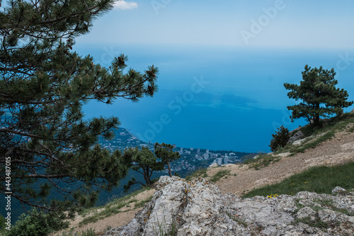 Beautiful pine tree against the backdrop of mountains and blue cloudy sky.Beauty of nature. Pure ecology. Crimea mountains. 