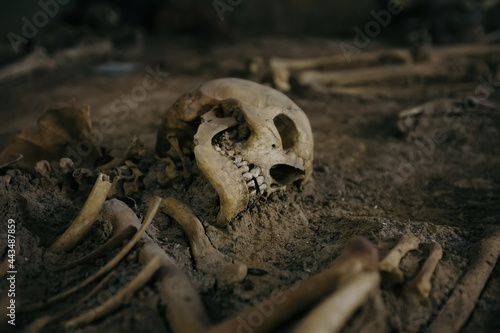 Old human skeleton in ancient tomb at archaeological excavation photo