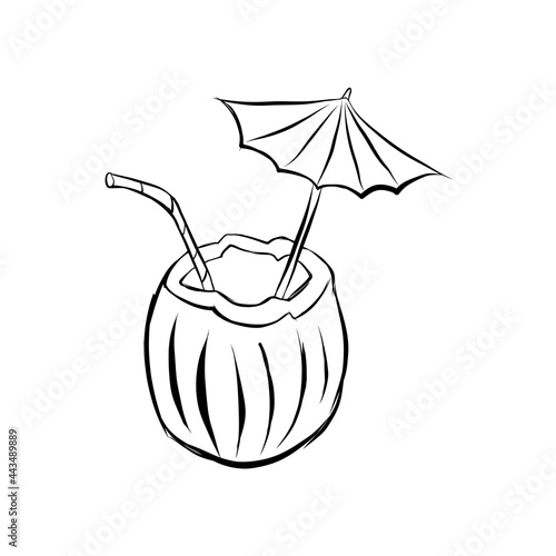 Coconut cocktail hand draw vector illustration on white