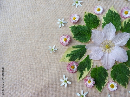 flowers on wooden background