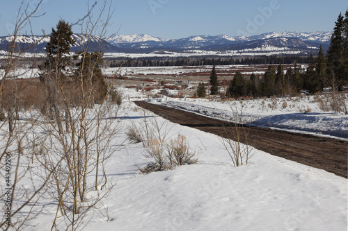 Jackson Hole Valley Forrest Road Winter Snow Wyoming
