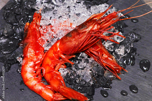 italian red prawns or shrimps known as gambero rosso photo