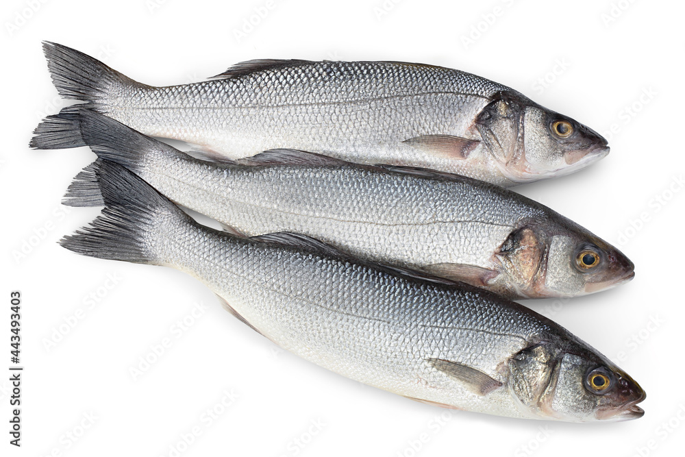 Sea bass fich isolated on white background with clipping path. Top view. Flat lay Sea bass fich isolated on white background with clipping path. Top view. Flat lay