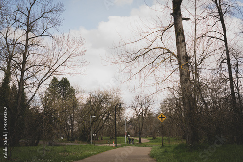Eugene Park