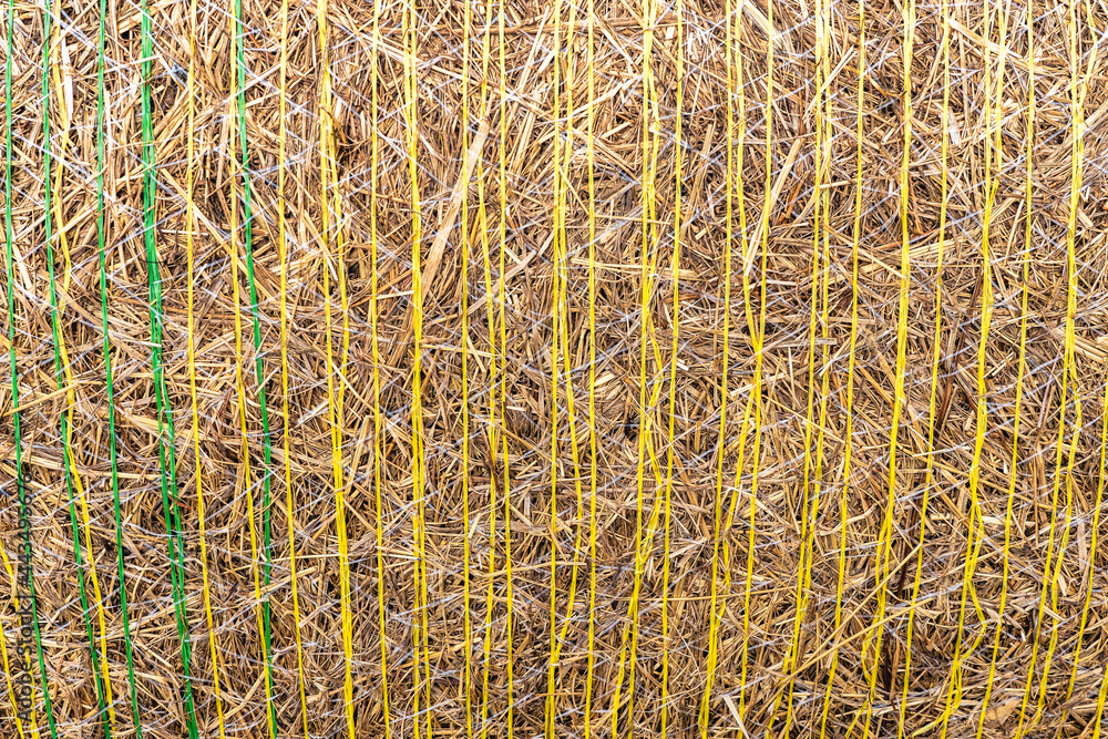 Fototapeta premium Botte de paille