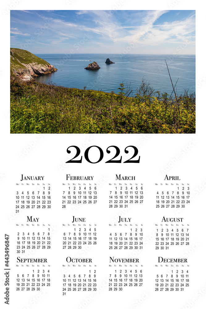 ภาพประกอบสต็อก Botanical calendar for 2022. Printable vertical wall