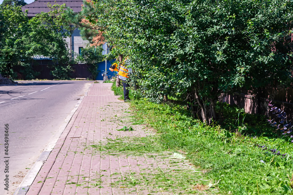 Obraz premium A worker mows the grass with a gasoline scythe.