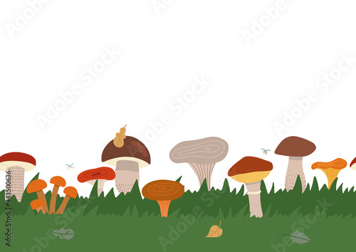 Autumn texture seamless border with green grass and different king of mushrooms. Mushroom mycelium into repeat invitations, decor, packaging, greeting cards, stationary. Flat vector illustration.