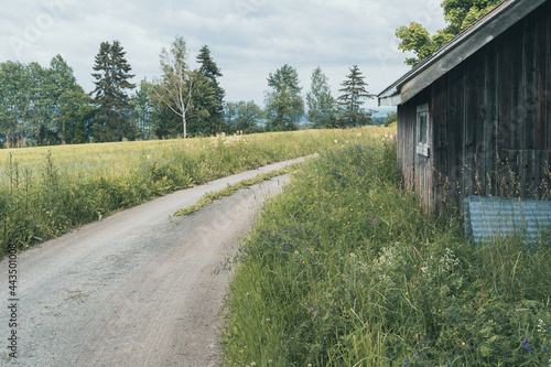 Image from the pilgrim route to Nidaros, on the parcel between Hoff Medieval Church and Kapp Chapel at Toten, Oppland, Norway. photo