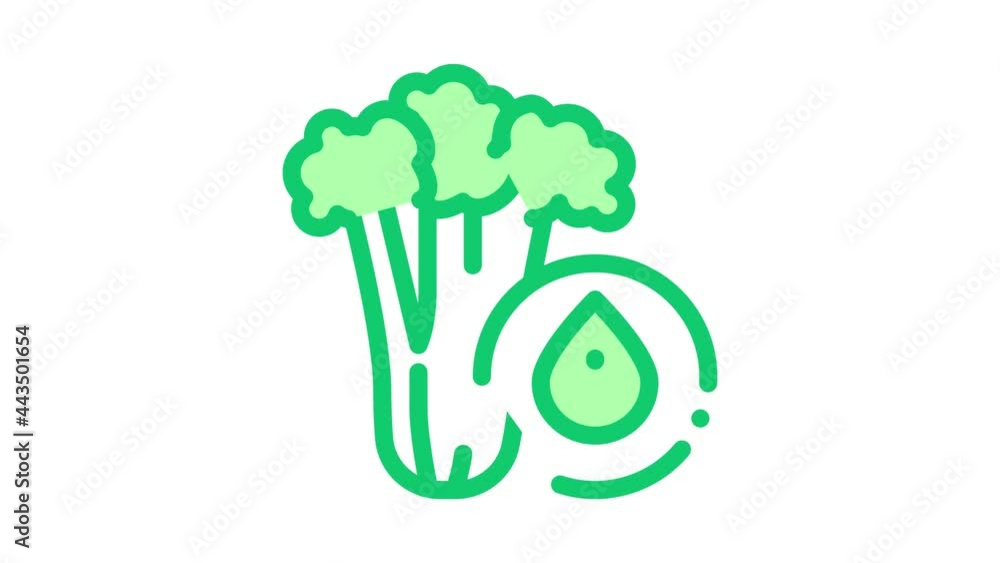elery Plant Icon Animation. color elery Plant animated icon on white background elery Plant Icon Animation. color elery Plant animated icon on white background