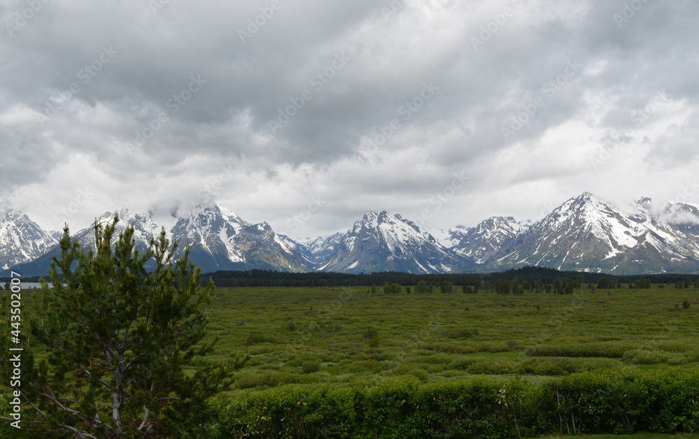 Fototapeta premium Spring in Grand Teton National Park: Cloudy Sky over Willow Flats with Doane Peak, Eagle Rest Peak, Rolling Thunder Mountain, Traverse Peak, Window Peak and Mount Moran of the Teton Range Behind