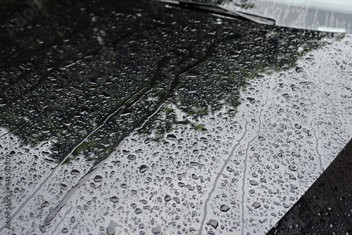 rain drops on car