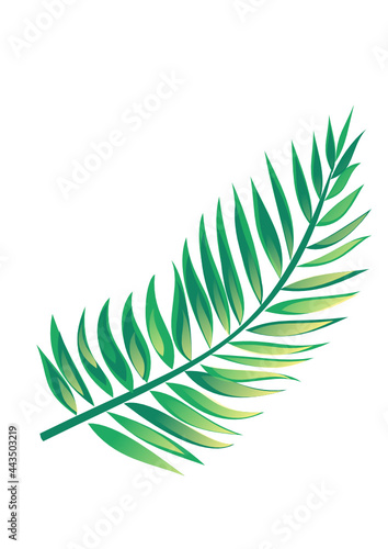 Exotic plants