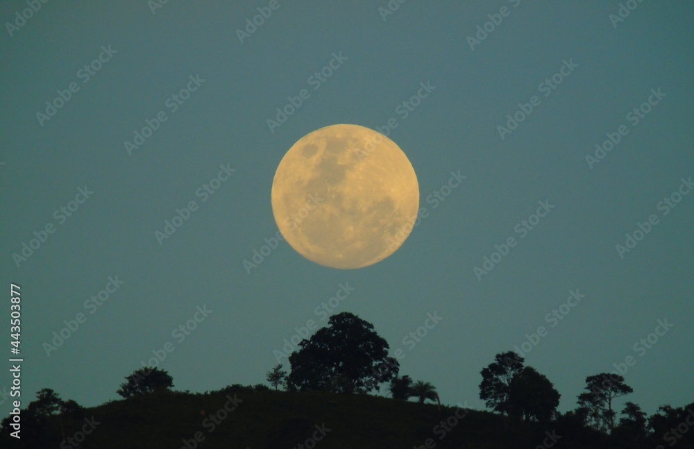 moon in the sky moon in the sky