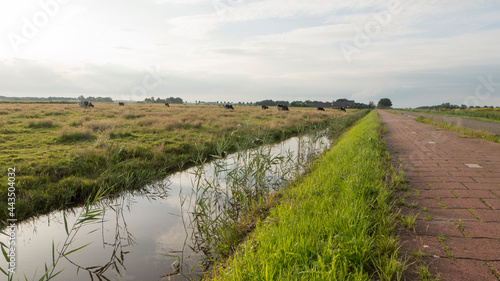 Landscape of Waverveen in the summer