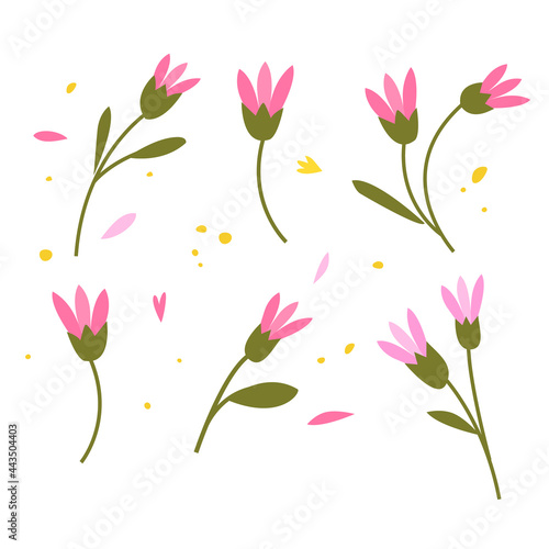 Collection of hand drawn plants. Botanical set of sketch flowers and branches, vector illustrations photo