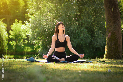 Wallpaper Mural yoga in the park Torontodigital.ca