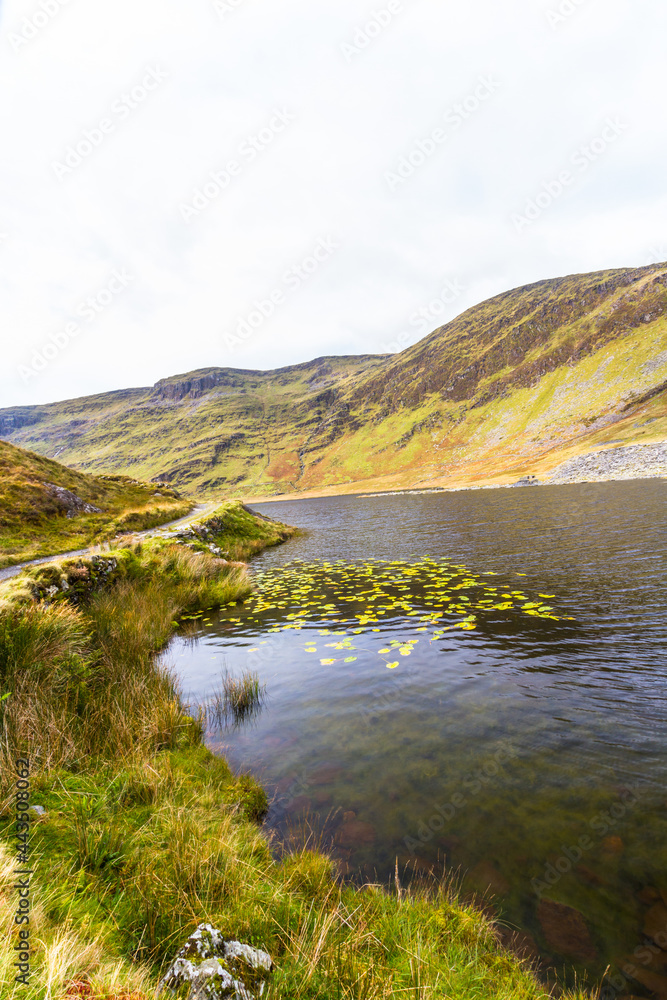 Lily pads in Cwmorthin Lake in hanging valley.