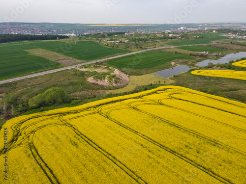 Aerial view of Blooming rapeseed field  Bulgaria