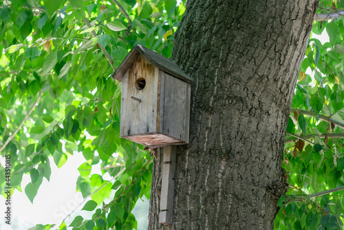 Wooden birdhouse with a hollow.