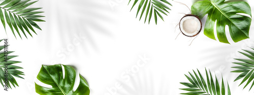 Tropical leaves, Monstera plants and coconut isolated on white background. Summer concept, leaf shadows, flat lay, top view