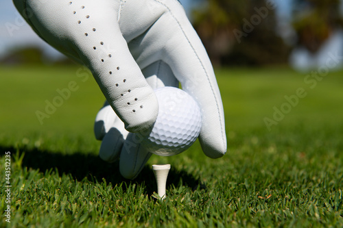 Hand putting golf ball on tee in golf course. Golf ball in grass.