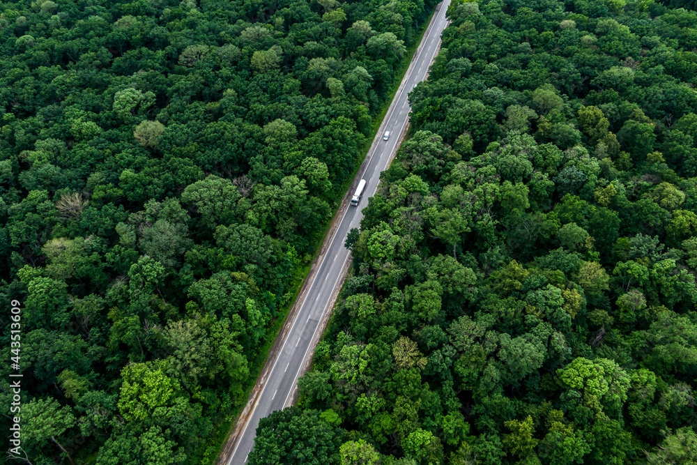 white cargo truck drives on an asphalt highway through a green forest. Drone top view. Gasoline tanker on a road. aerial view