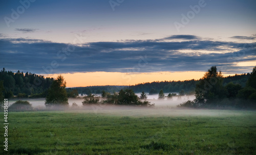 Foggy field against the background of forest and cloudy sky at sunset. Rural landscape on a foggy evening.