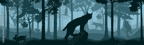 vector forest woodland background texture seamless pattern with lynx, wolf, rabbit, deer, eagle and eagleowl