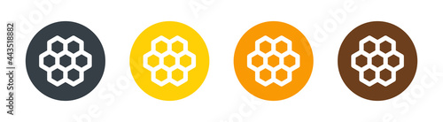 Set of honeycomb isolated on white background.