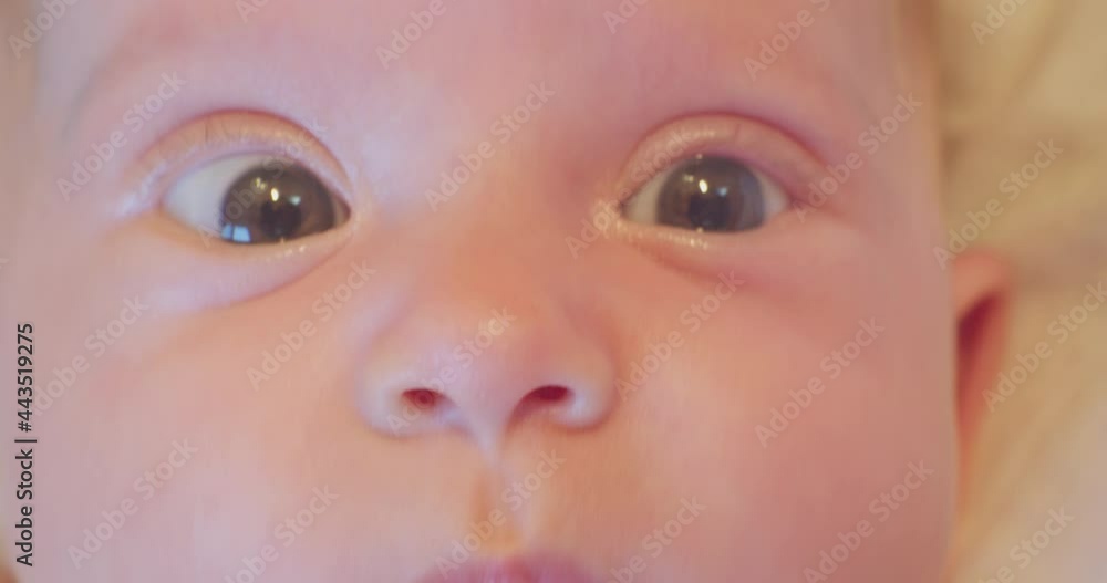 curious surprised look of a little cute baby.close-up. curious surprised look of a little cute baby.close-up.
