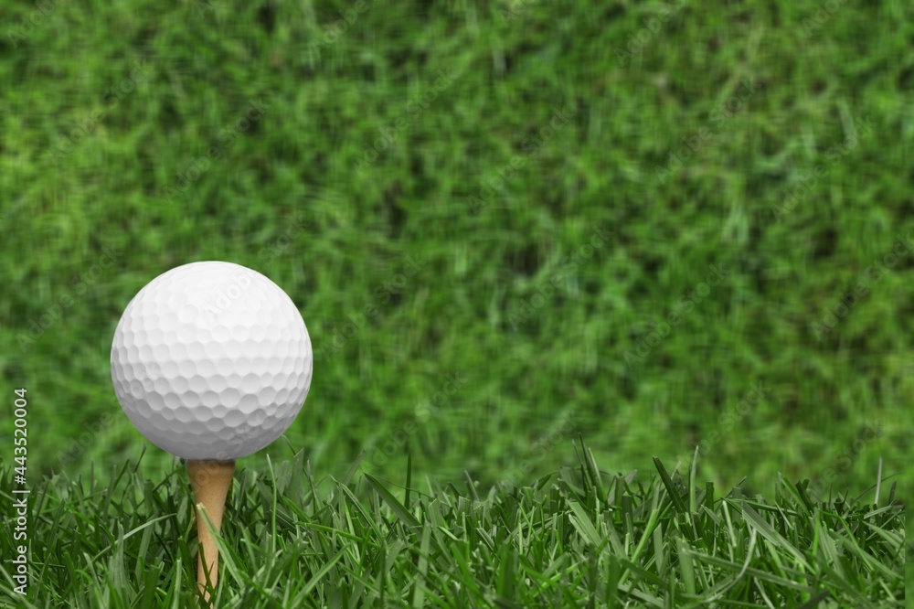 Golf. Golf.