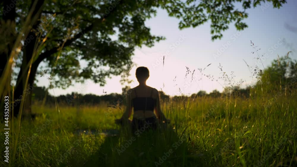 Yoga woman meditating in lotus pose in park at summer sunrise. Young female person enjoying morning in yoga pose. Yoga woman meditating in lotus pose in park at summer sunrise. Young female person enjoying morning in yoga pose.