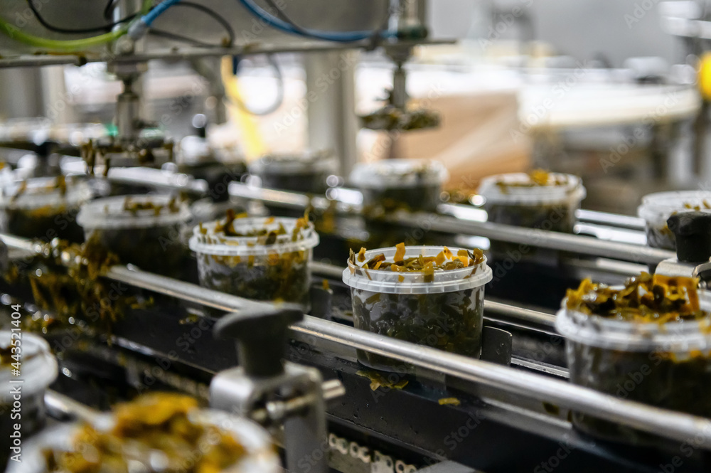 Seaweed salad on a conveyor belt. Automatic line for packing seafood Seaweed salad on a conveyor belt. Automatic line for packing seafood