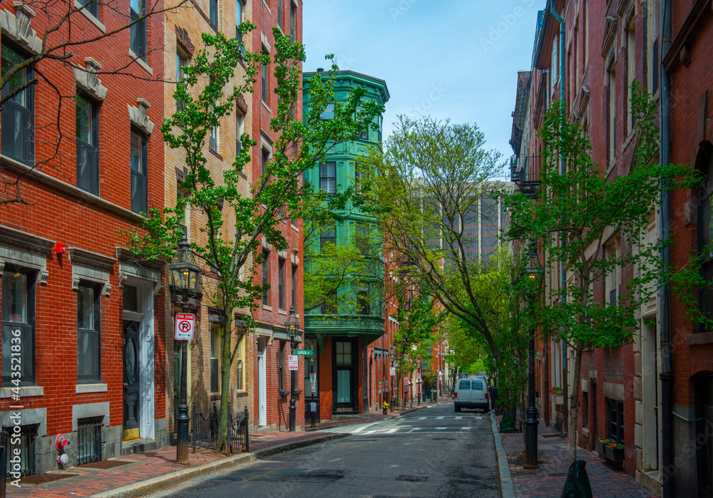 Fototapeta premium Historic Buildings on Myrtle Street between Garden Street and Anderson Street on Beacon Hill, Boston, Massachusetts MA, USA.
