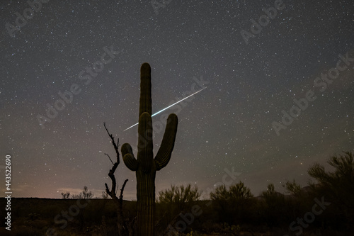 Geminid Meteor behind a saguaro cactus photo