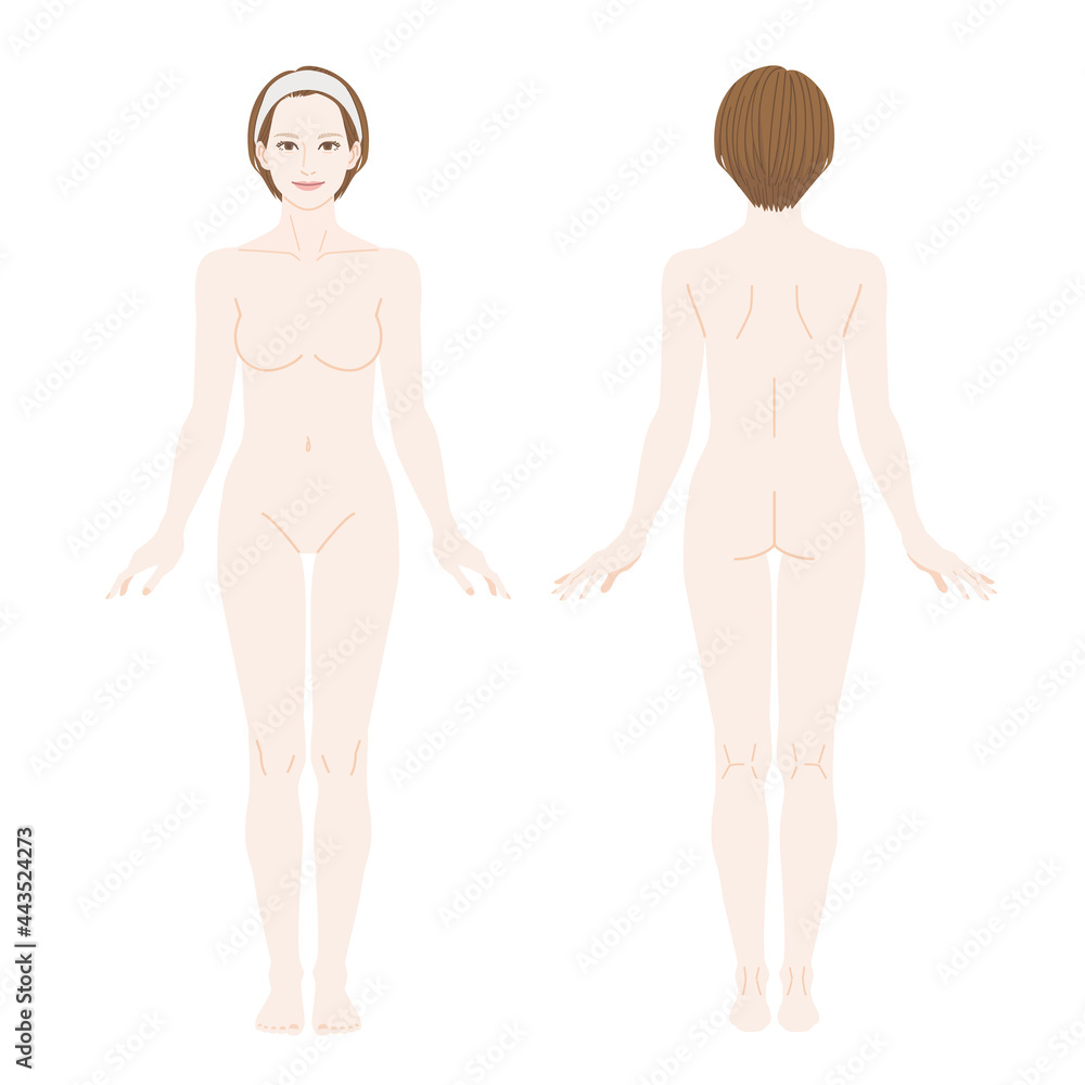 Naked woman full body illustration. Front view and back view. Naked woman full body illustration. Front view and back view.