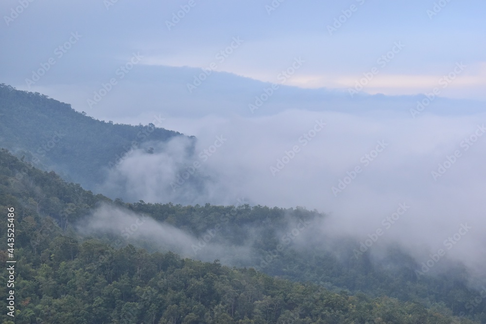Morning mist view from the top of the mountain in Mae Hong Son province, Thailand.