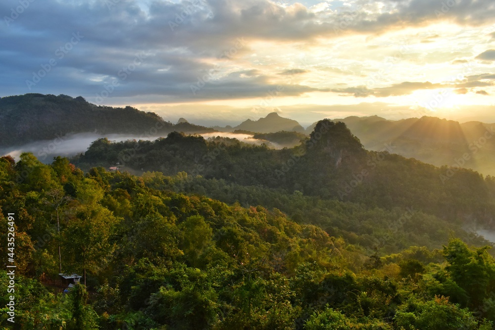 Obraz premium The scenery of the mountains and the fog at sunrise, feel fresh and relaxed.