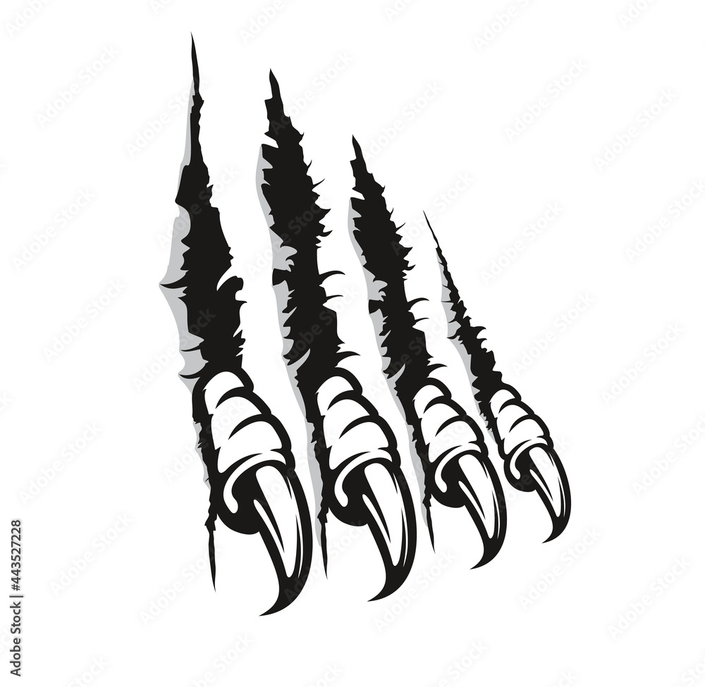 Bird of prey claw marks, scratches, vector monster fingers with long nails tear through paper or wall. Wild animal rips, dragon paw sherds, beast break, four talons traces isolated on white background Bird of prey claw marks, scratches, vector monster fingers with long nails tear through paper or wall. Wild animal rips, dragon paw sherds, beast break, four talons traces isolated on white background