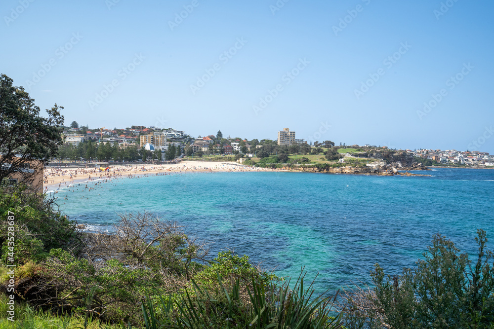 view of the coast looking down to Coogee Beach in Australia