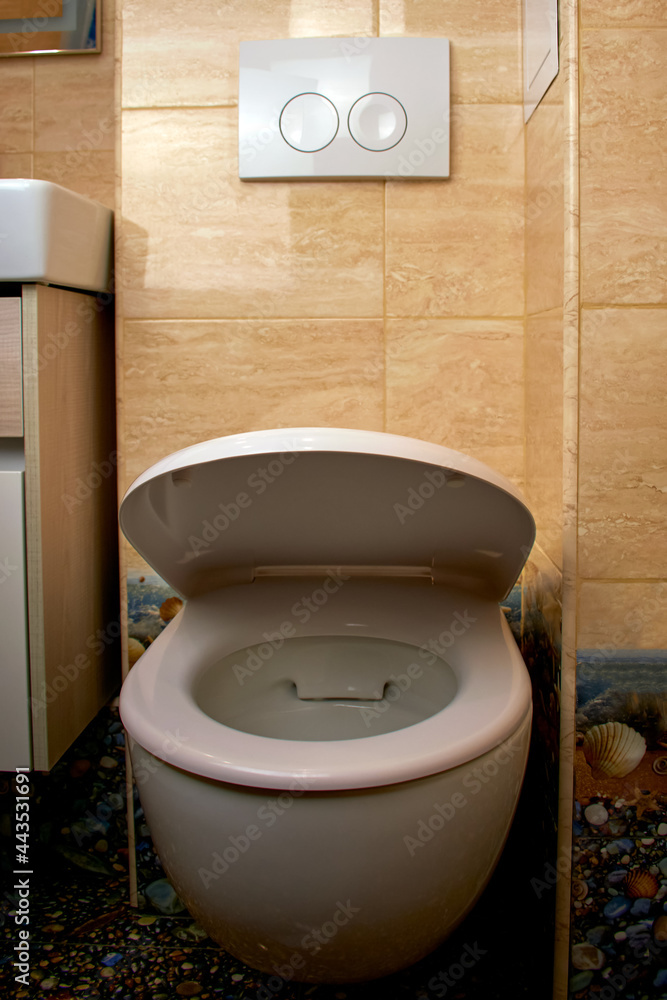 Suspended toilet bowl. Wallhung rimless toilet. Rimless toilet bowl