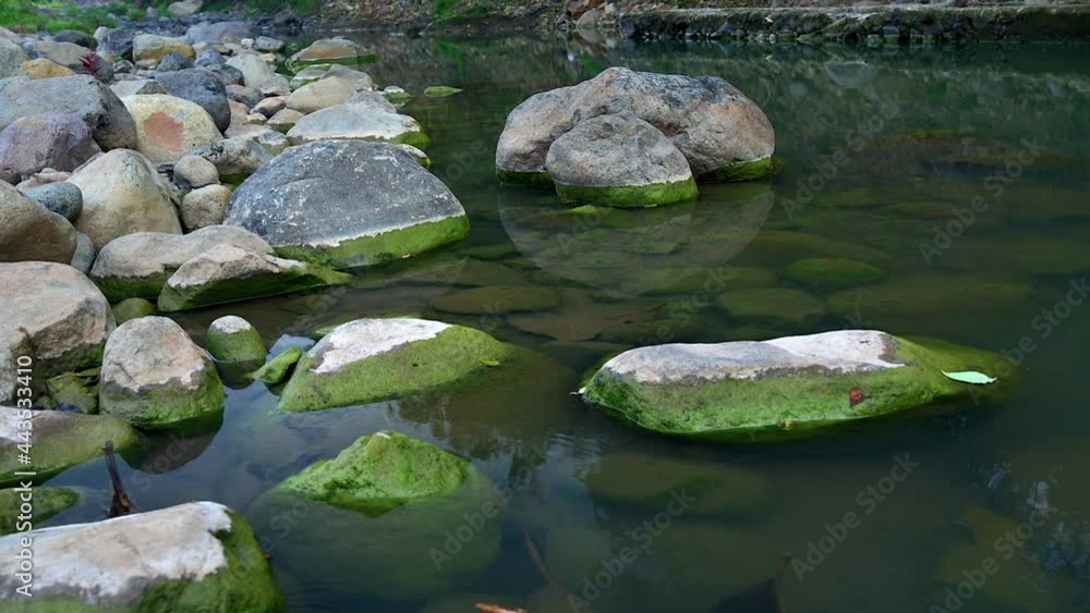 Beautiful green riverside panning shot view with green transparent clear water and volcanic rocks boulder Beautiful green riverside panning shot view with green transparent clear water and volcanic rocks boulder