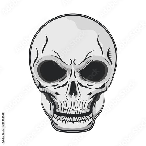 skull bone face
