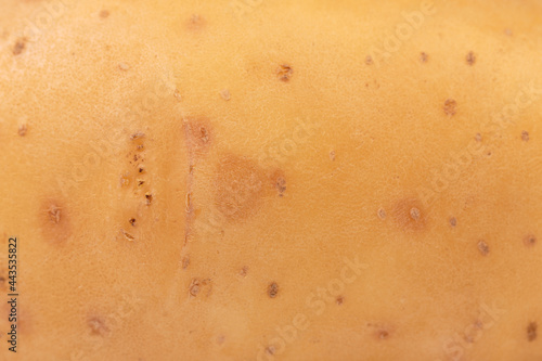 Close-up photo of potato peel.